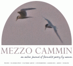 mezzo cammin summer 2015 cover
