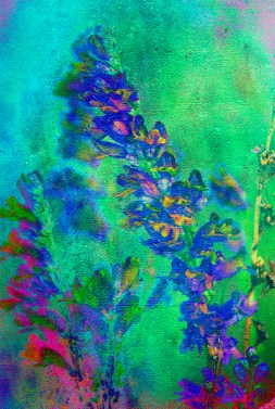 Elegy for Christina on Eclectica