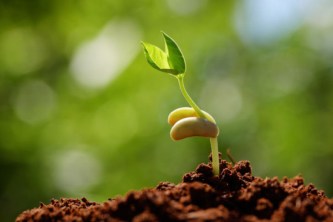 sprouting-seeds-of-the-kingdom-e1426000387559