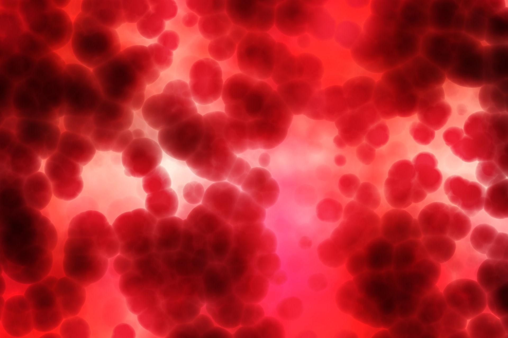 Publish D   [Image description: a close-up microscope image of blood platelets.]
