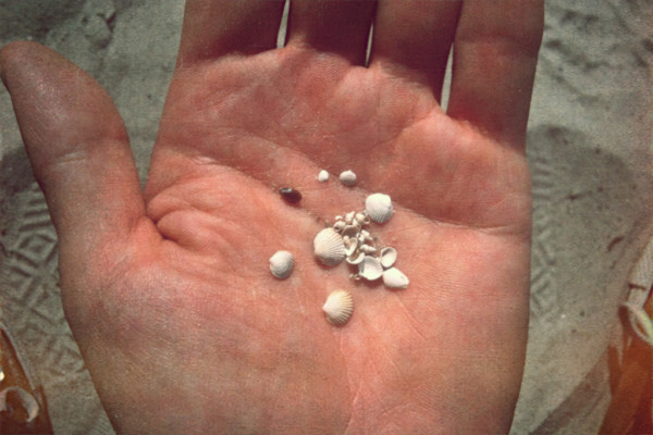 Fireplace-hand with shell fragments