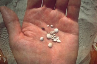 Fireplace-hand with shell fragments