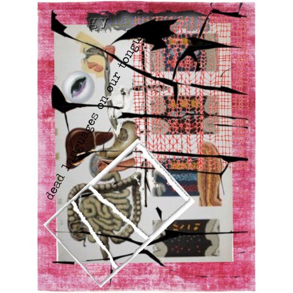 Jill Khoury's cover art for Issue 107 of Rogue Agent: a square surrounded by a pink border and splashed with streaks of black or brown paint. At the top, the word “gyna-“ disappears under a piece of loosely-woven peach-colored fabric that covers the upper right part of the image. The words “dead languages on our tongues” appear diagonally across its left side. The rest of the image is made up of several pictures including an eye, a digestive tract, lungs, a liver, and bursts of colored pills.